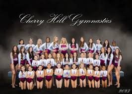 Image result for Sheredes Gymnastics Club
