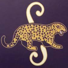 Image result for Rayleigh boys under 7's Leopards- need a Goalie!