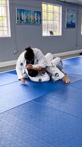 Image result for AAZENTAI JU JITSU