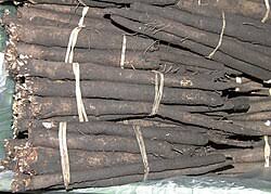 Image result for Schwarzwurzeln