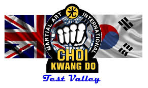 Image result for Hillcross, Raynes Park & Redhill Choi Kwang-Do