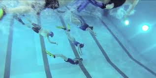 Image result for Inverness Octopush Club