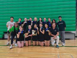 Image result for Eston Ladies Badminton Club