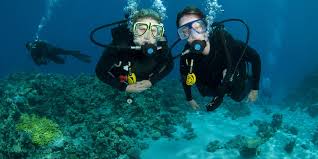 Image result for Barnsley BSAC Divers