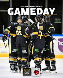Image result for Nottingham Panthers