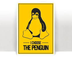 Image result for 3d linux penguin