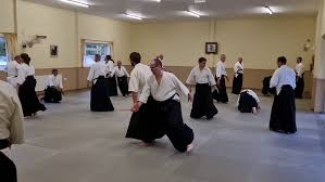 Image result for Bracknell Aikido Club