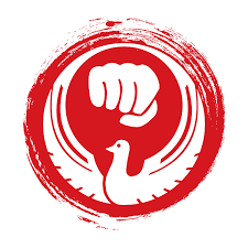 Image result for Karate Wado Kai