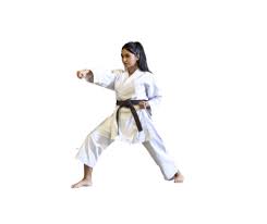Image result for COURT FIELDS karate Academy