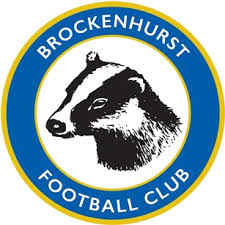 Image result for Brockham Football Club