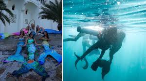 Image result for Duchy Divers