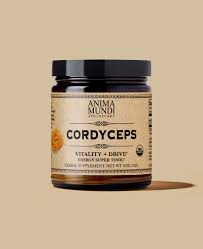 Attēlu rezultāti vaicājumam “Cordyceps”