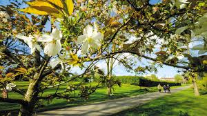 Image result for South Woodford Bowling Club