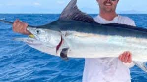 Image result for Istiompax indica