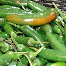 Afbeeldingsresultaat voor jalapeno early hot pepper