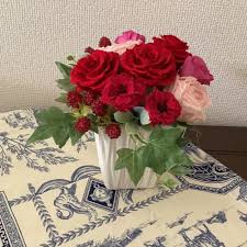 「花薔薇エルフ」の画像検索結果