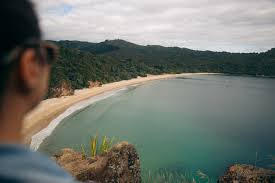 Image result for new chums beach