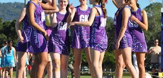 Image result for Wombles Netball Club