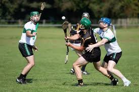 Image result for Ceann Creige Hurling and Camogie Club