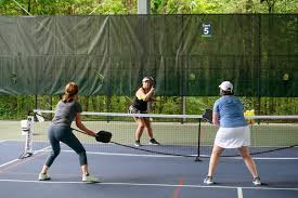 Image result for Durham City Badminton Club