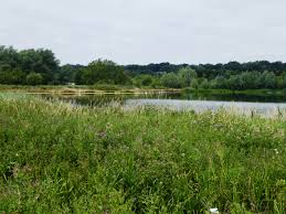 Image result for Thorpe Green Fc