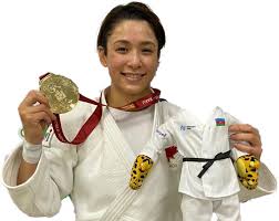Image result for Judo Excellence