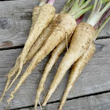 Image result for Pastinake