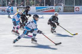 Image result for Sheffield Wildcats Rink Hockey and Roller Skating Club