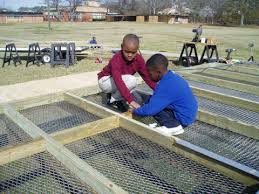 Image result for Meridian Racing Pigeon Lofts