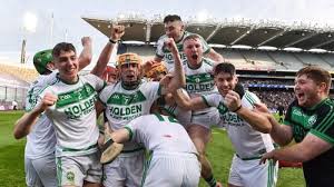 Image result for Shamrocks Hurling & Football Club