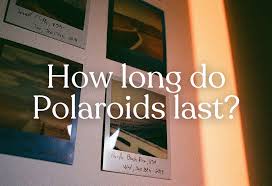 Image result for polaroids