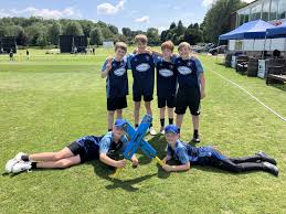 Image result for Pulborough Cricket Club