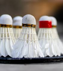 Image result for Limpsfield Badminton Club