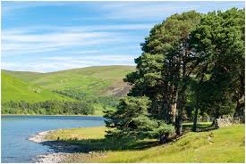 Image result for St Mary's Loch Sailing Club