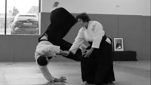 Image result for London Aikido Club