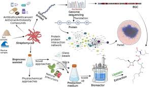 Image result for *mankai.co.jp ドメイン