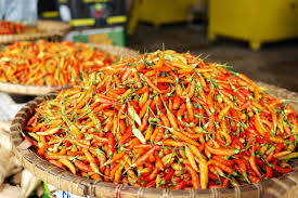 Afbeeldingsresultaat voor thai bird pepper hot pepper