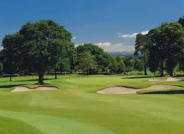 Image result for Falkirk Tryst Golf Club