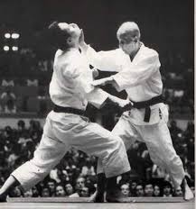 Image result for Karate Wado Kai