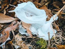 Attēlu rezultāti vaicājumam “Frost Flowers”