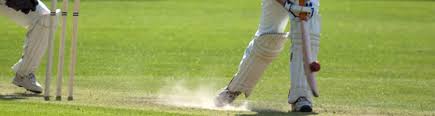 Image result for Hemel Hempstead Cc