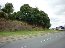 Image result for Monk Bretton Cc