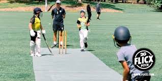 Image result for Barwick In Elmet Cricket Club