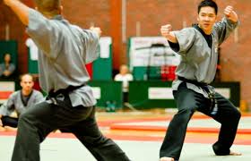 Image result for Shaolin Nam Pai Chuan Kung Fu - Manchester Martial Arts Centre