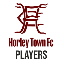 Image result for Horley Hockey Club