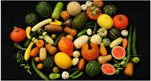 Attēlu rezultāti vaicājumam “Cucurbitaceae”