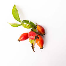 Attēlu rezultāti vaicājumam “Rosa subcanina fruit”