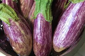 Afbeeldingsresultaat voor fengyuan purple eggplant