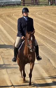 Image result for Chobham and District Riding Club