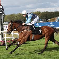 Image result for Ayr Riding Club